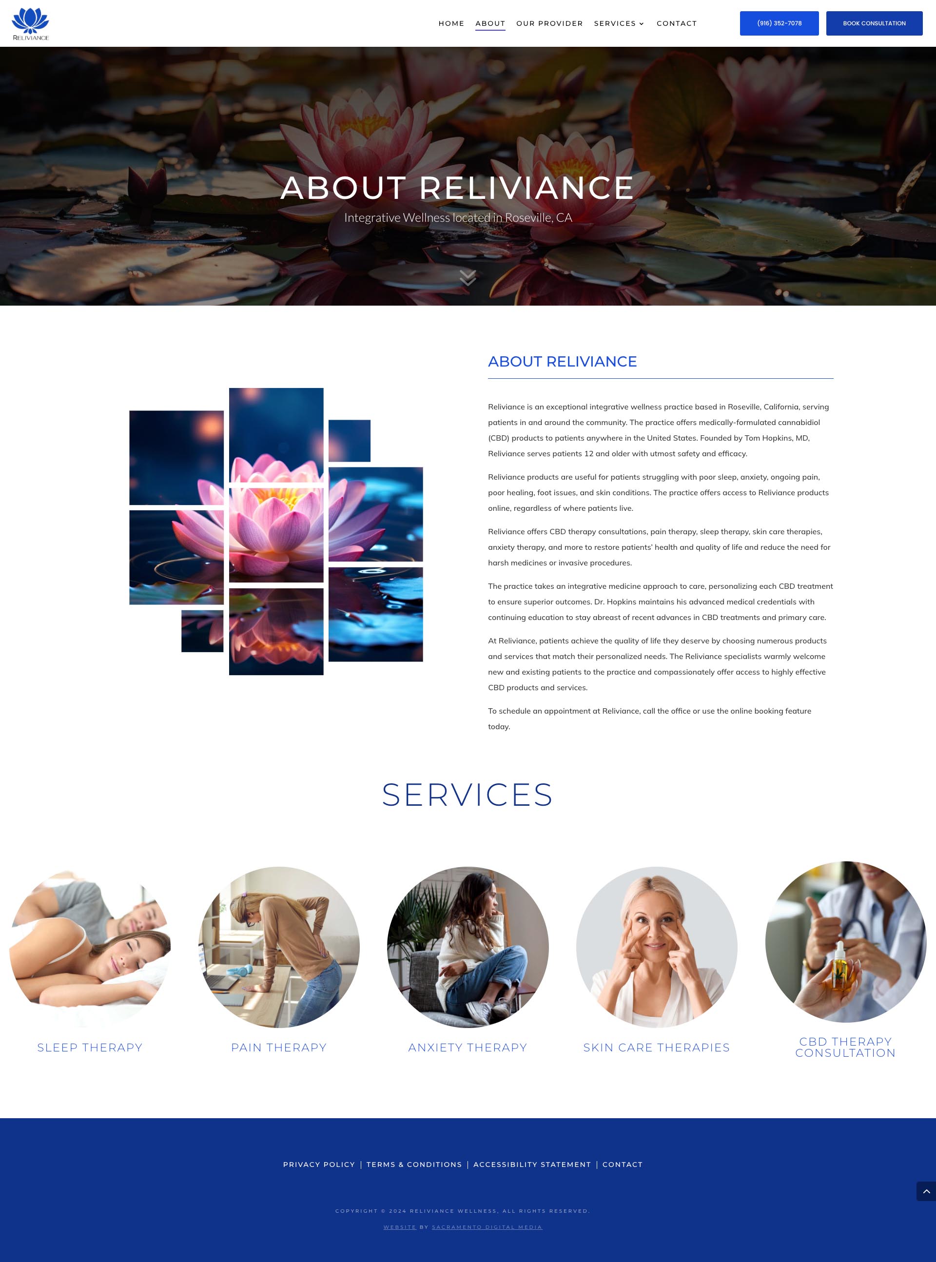 Reliviance - About Page